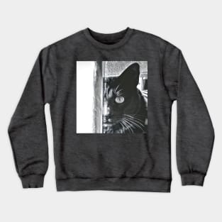 PHOTOGRAPHY CAT BLACK Crewneck Sweatshirt